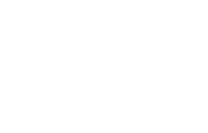 nexin academy logo