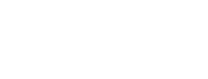Nexin Academy